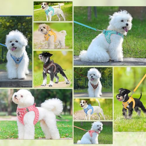 Savlot Reflektierendes Hundegeschirr für kleine & mittelgroße Hunde, Sicherheitsgeschirr mit Step-in Design für Nachtspaziergänge, Y-Form & Haarschonend (XS-L, Blau)