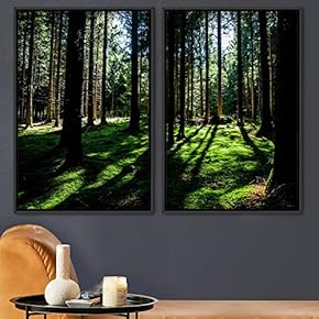 signwin 2 Piece Framed Canvas Wall Art Brown...