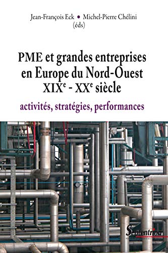  PME et grandes entreprises en Europe du Nord-Ouest XIXe - XXe siècle: Activités, stratégies, per Livre eBook France