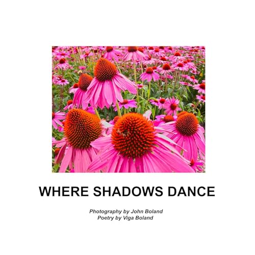 WHERE SHADOWS DANCE -- Viga Boland episode artwork