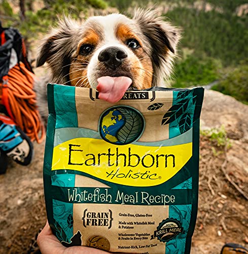 Earthborn Holistic Whitefish Meal Recipe Oven-Baked Dog Treats #TOP7