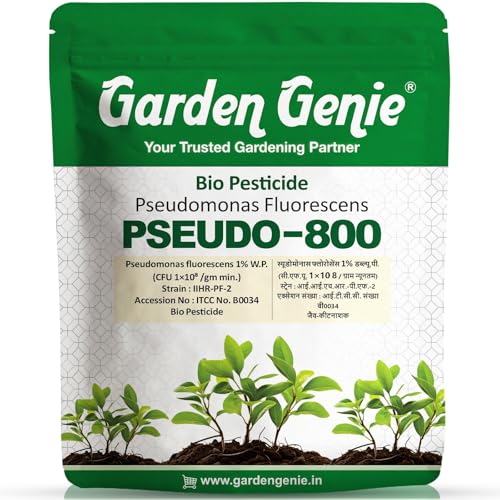 Garden Genie Pseudomonas Fluorescens Powder (2x10⁸ CFU/g) | Natural Bio Fungicide for Plants & Home Garden | Controls Root Rot, Wilt, Blight & Fungal Diseases | 1 Kg