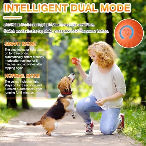 Sunshine smile Selbstrollender Ball Hund,Ball Interaktives Hundespielzeug Ball,Wicked Ball Hund,Springender Aktivierungsball,Aktiver Rollball Für Hund,für langeweile drinnen draußen
