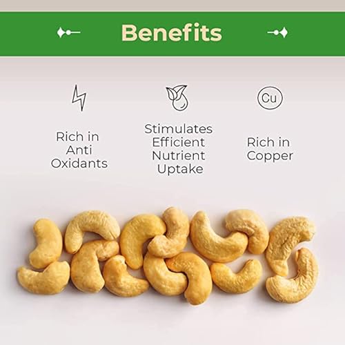 Sincerely Nuts – Whole Cashews Roasted And Salted | Three Lb. Bag | Deluxe Kosher Snack Food | Healthy Source Of Protein, Vitamin & Mineral Nutritional Content | Gourmet Quality Vegan Cashew Nut #TOP1