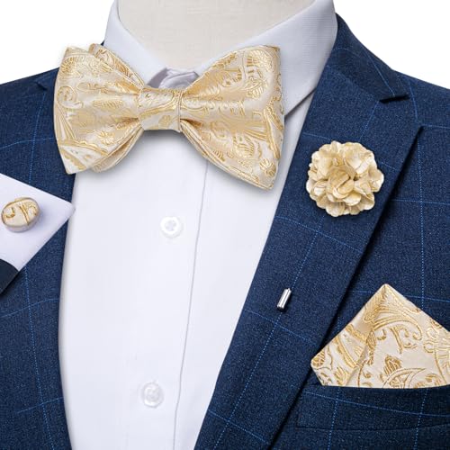 Image of DiBanGu Paisley Bow Ties for Men Silk Self Tied Bowtie and Pocket Square Cufflinks with Lapel Pin for Wedding Party
