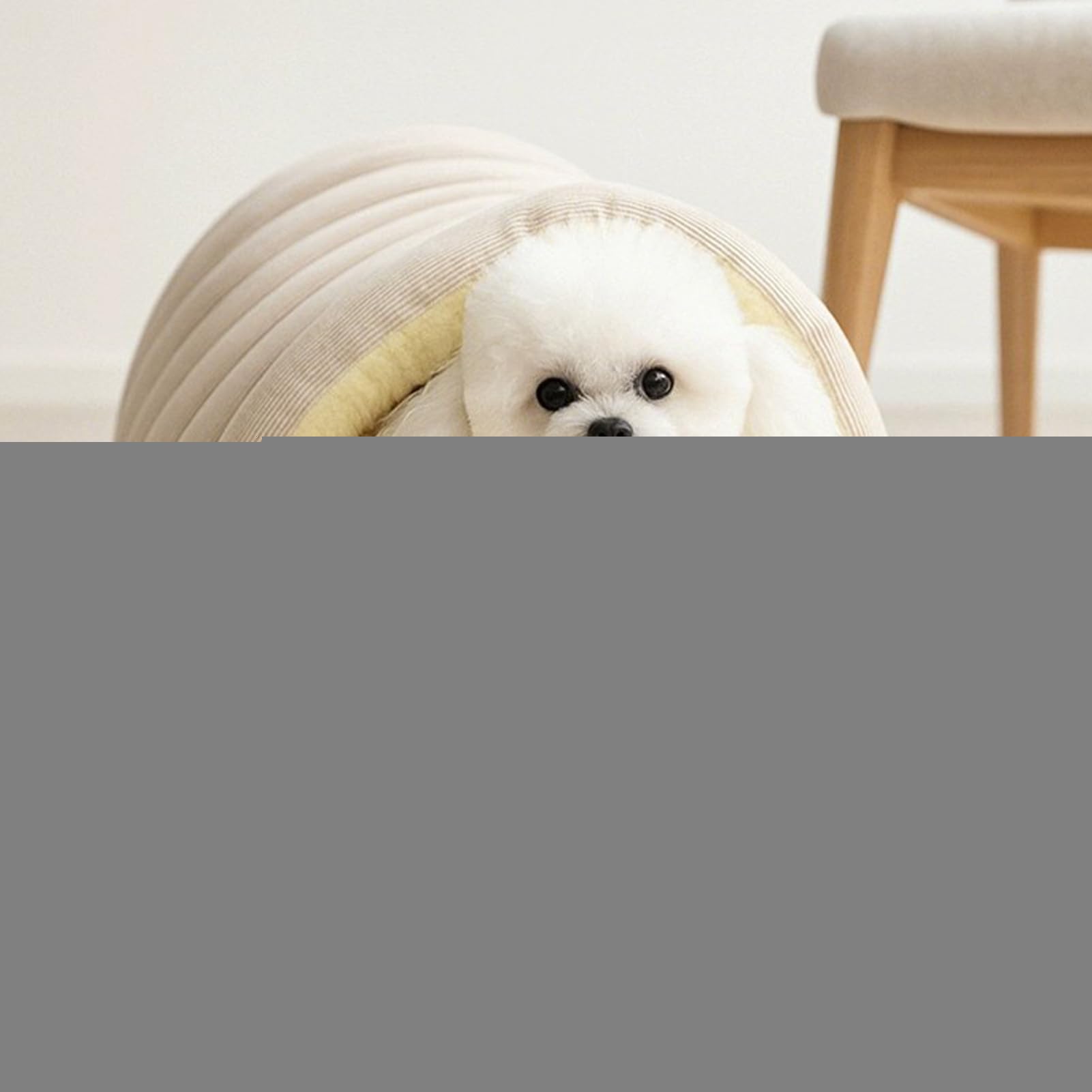 Cuccia Coperta Per Gatti,Accogliente Tenda Per Animali Domestici