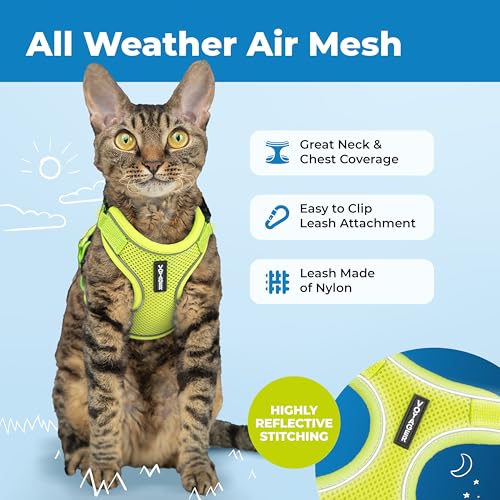 Voyager Escape-Proof Step-in Lock Cat Harness & 5ft Neoprene-Handle Leash Set All-Weather Mesh with Reflective Stitching for Small to Large Cats by Best Pet Supplies, Lime (327), S - Image 4