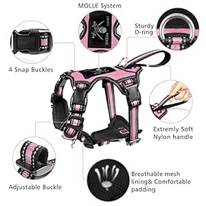 Winsee pet harness collar and leash set all in one reflective dog harness no pull with adjustable buckles for puppies small medium large and extra large dogs large pink   cucciolini doodles