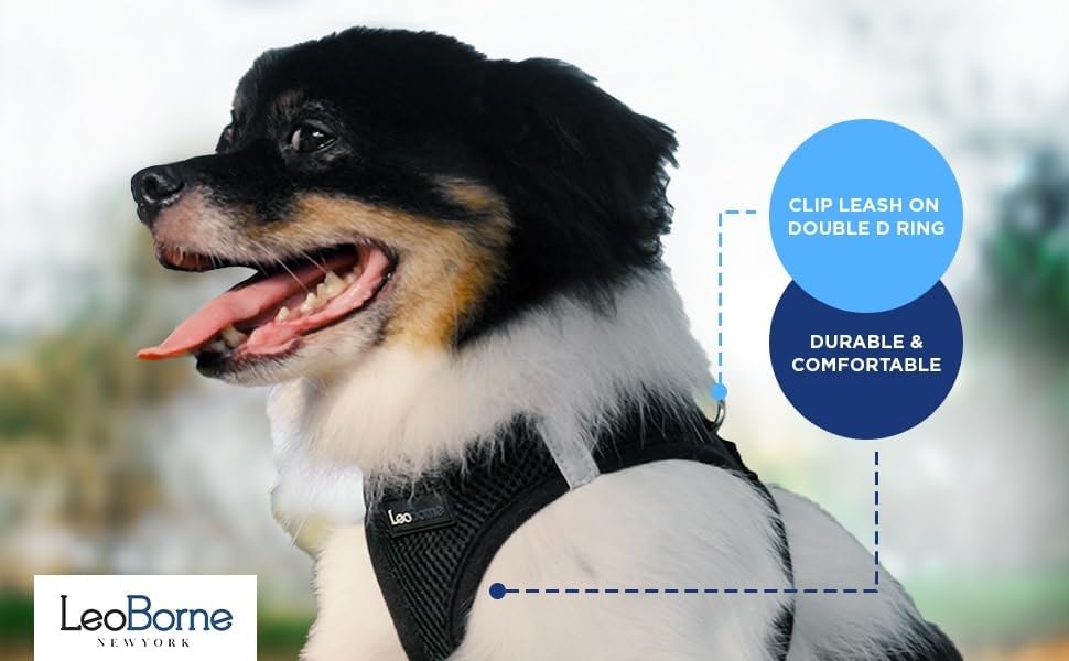 Vista 2 de Arnés para perros pequeños Arnés para perros medianos sin tirones Arnés para perro para perros pequeños Chaleco para perro Arnés de malla