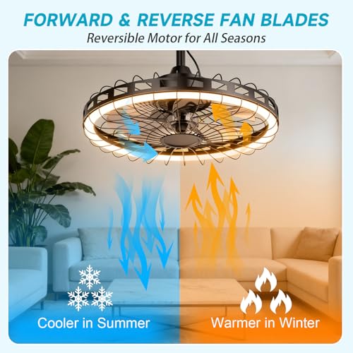 Outdoor Ceiling Fan with Light DROPS TO - image 4