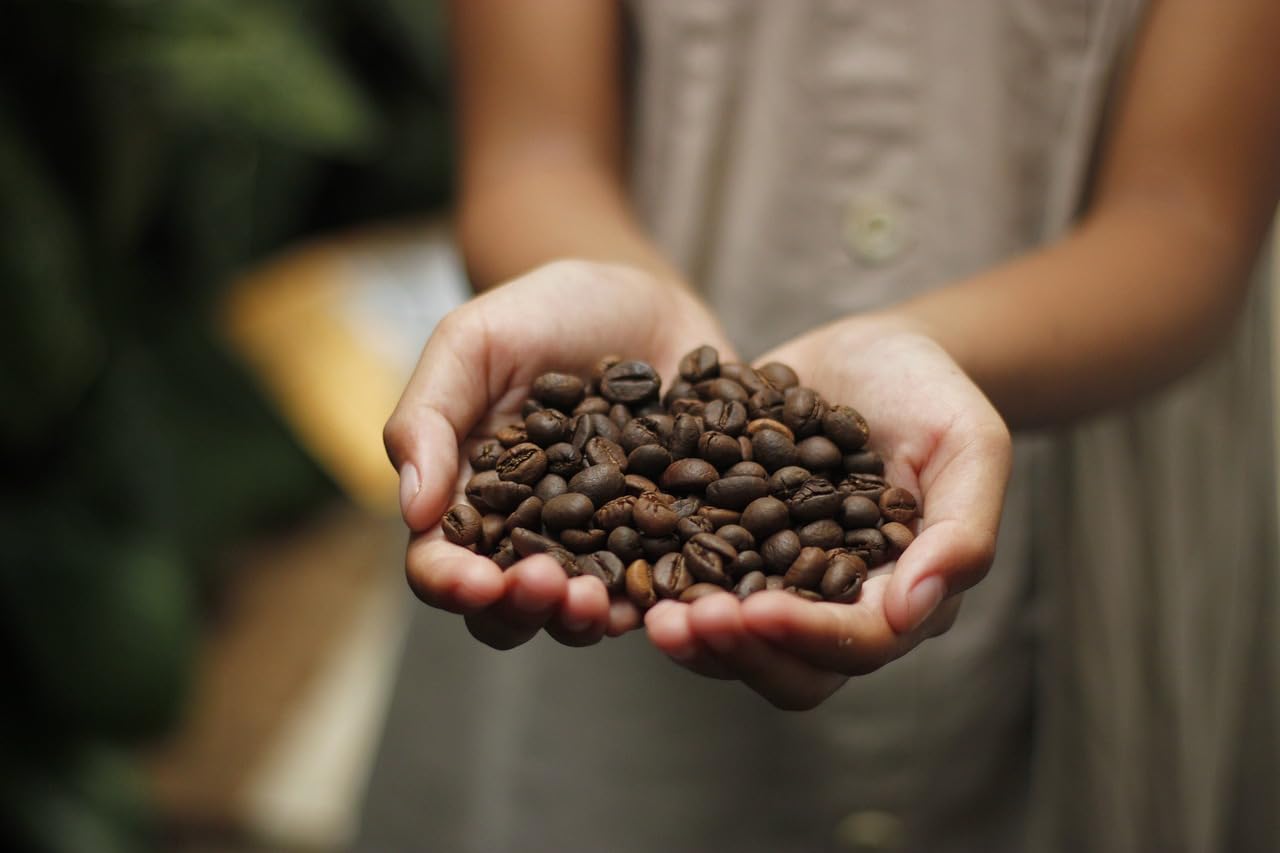 Chicco Espresso Premium Probierpaket groß 3kg ganze Kaffee Bohnen Urubamba Sumatera Horizonte