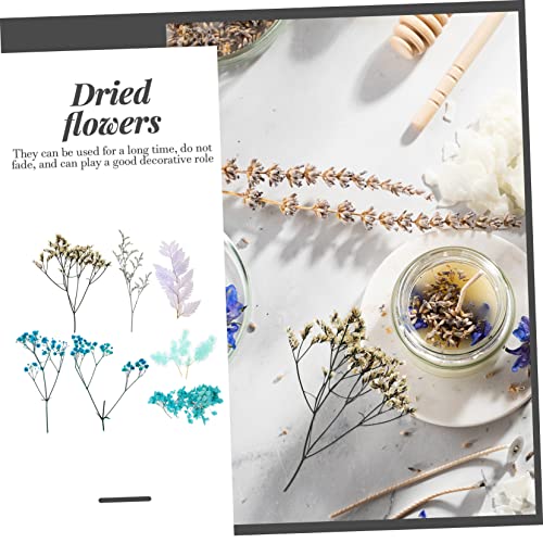 Set Natural de Flores Secas para Manualidades DIY miniatura 6
