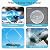 Epoxy Resin, 32OZ Resin Kit, Epoxy Resin Crystal Clear-Not Yellowing and No Bubble Self Leveling Easy Mix 1:1 Casting & Coating for DIY Jewelry Making of The Art Resin & Epoxy Resin (32oz)
