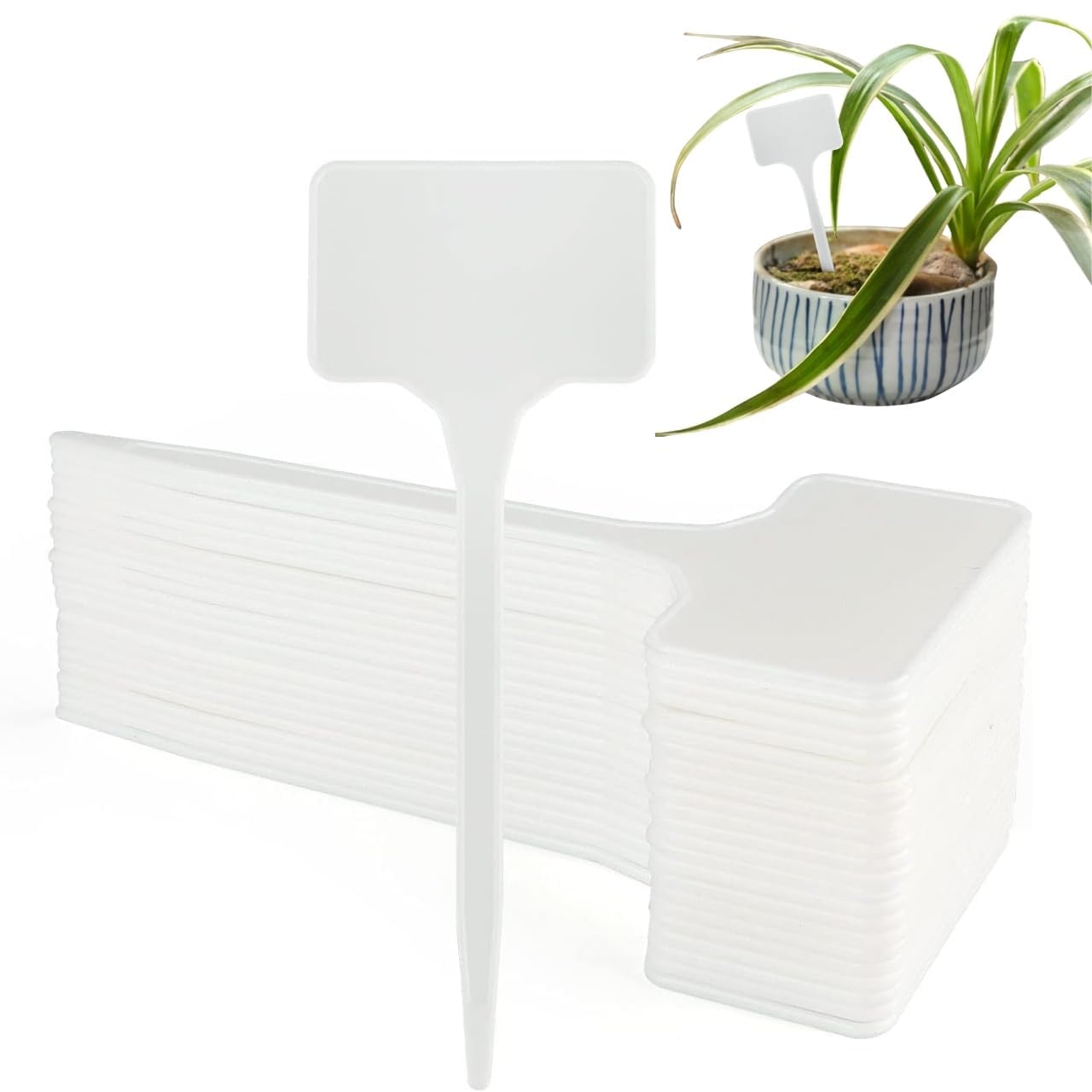 PODHGHAR 100 White Plant Label Plant Name Tag PP Plastic Reusable Plant Name Tags for Gardening Writtable Plant Tags for Plant Classfication (B0DHLJVBXY) Amazon Price History, Amazon Price Tracker
