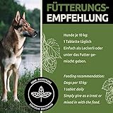 GreenPet Vitamin B Komplex Hund 120 Tabs – Liefert wichtige B Vitamine für Hunde (B1, B2, B3, B5, B6, B9 & B12), Vitamintabletten mit Folsäure, bis zu 4 Monate