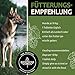 GreenPet Vitamin B Komplex Hund 120 Tabs – Liefert wichtige B Vitamine für Hunde (B1, B2, B3, B5, B6, B9 & B12), Vitamintabletten mit Folsäure, bis zu 4 Monate