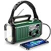 10000mAh Crank Radio, Emergency Radio, Solar Radio, NOAA/AM/FM Weather Radio, USB Type-C Charging, Dynamo Radio, Polymer Battery, Torch & LED Reading Light, SOS Alarm, Compass for Camping