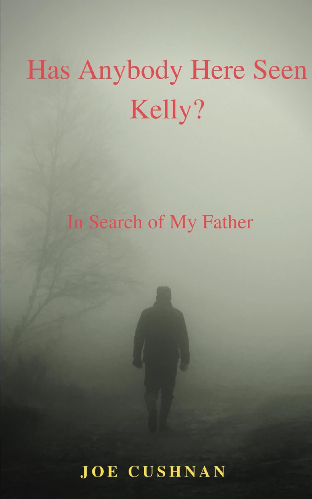 Has Anybody Here Seen Kelly?: In Search of My Father