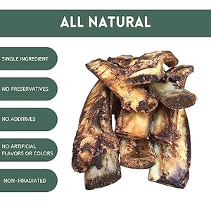 K9 Connoisseur Single Ingredient Dog Bones Made in USA – 8 to 10 Inch Long All Natural Meaty Rib Marrow Filled Bone Chew Treat Best for Medium Breed Dogs Best Upto 50 Pounds 8 Pack