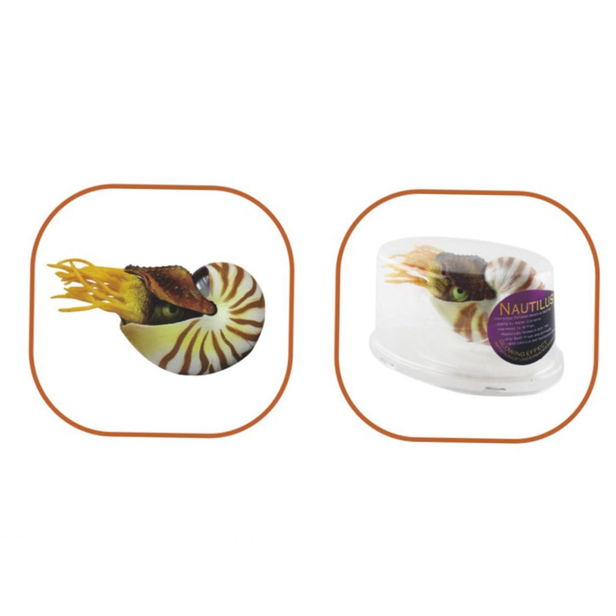 3stücke Simulation Nautilus Muscheldekor Für Aquarien Kreative Deko Für Fischbehälter Wohnzimmer Garten Bastelmaterial Für -kunstwerke Mediterraner Stil Hochwertige