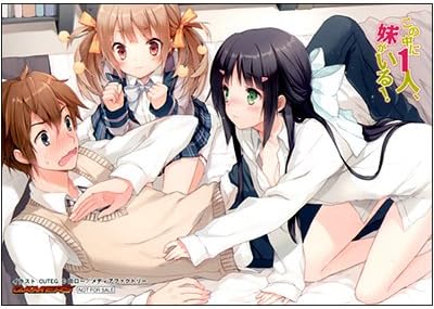 Amazon この中に1人 妹がいる ゲーマーズ特典ブロマイド 鶴眞心乃枝 帝野将悟 神凪雅 田口一 Cuteg Mf文庫j メディアファクトリー アニメ 萌えグッズ 通販