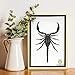 Real Exotic Poisonous Scorpion – Preserved Taxidermy Insect Bug Collection Framed in a 3D Wooden Frame as Pictured Taxidermy (Wooden Box)