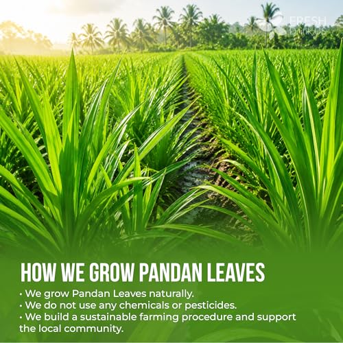 Image of FreshDrinkUS, Premium 2oz Natural Pandan Leaves Dried, 100% Pure Dried Pandan Leaves, Pandan Leaf Tea, No Additives, No Caffeine, Vegan (2 oz Dried Leaves)