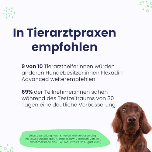 FLEXADIN Advanced® Hund | Für die Gelenkgesundheit | Undenaturiertes Kollagen Typ II & Boswellia – 60 Gelenkleckerli