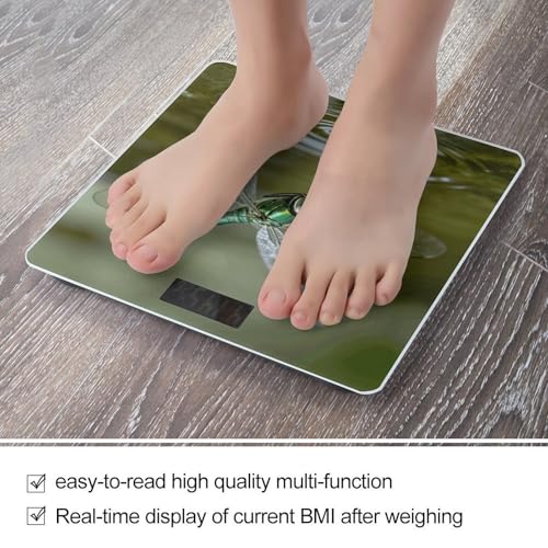Báscula digital para baño con pantalla LCD grande miniatura 5