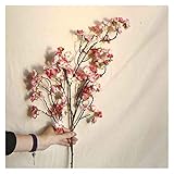 Kann als Geschenk an Liebhaber, Familie, Freunde geben. Und auch für Heiratsantrag, Hochzeitstag, Geburtstag, Verlobung, Valentinstag, Muttertag, Weihnachten verwenden.