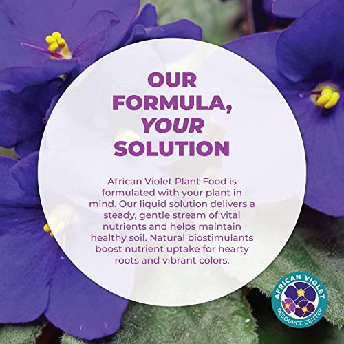 Paquete de cuidado para violetas africanas miniatura 6