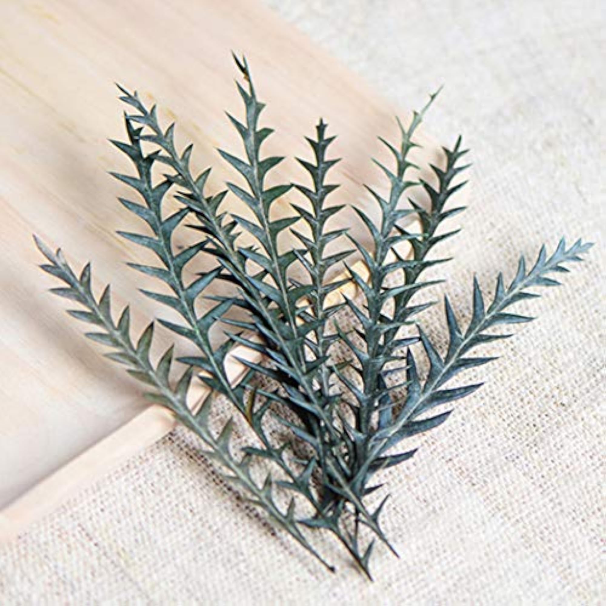 Dried Stem Natural Frame Decor Preserved Stems