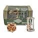 Compass and Star Combo, True Genius - Disentanglement Puzzles, Brain teasers, Adult Puzzle