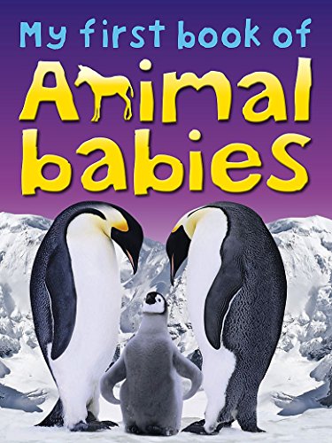 My First Book of Animal Babies 1848982577 Book Cover