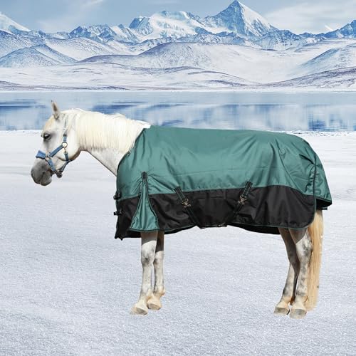 1200D Horse Blanket, 200g Medium Weight Waterproof Winter Turnout | 1200D Ripstop Outer, Waterproof Breathable Shell, Anti-Rub Lining, 200g Insulation, Keep Dry in Snow & Cold, Large Tail Flap - Image 7