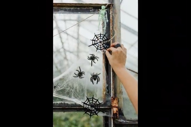 Decorazione Ragno di Halloween, Decorazioni per Esterni di Halloween Ragno Peloso, Spaventoso Grande Falso Ragni Pelosi Spaventosi Puntelli per Decorazioni di Halloween Cortile Esterno Interno Prato