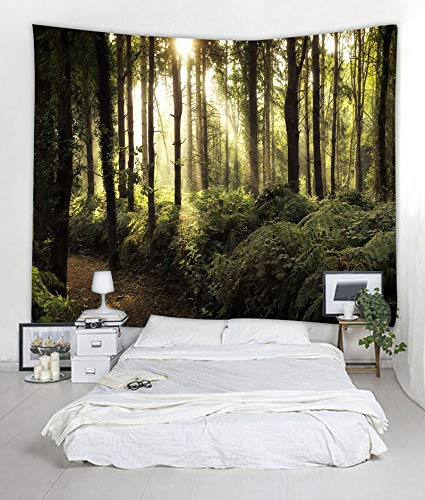 Tapisserie polyester imperméable pour habiller et protéger un grand mur