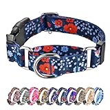 Hikiko Collar martingala para perros, lindo collar floral para perros pequeños, medianos y grandes, collares de nailon suave con flores (flor de ciruelo, M)