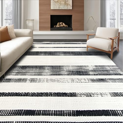 ODIKA Flatwoven High Traffic Area Rug 2x3, Rustic Farmhouse Striped