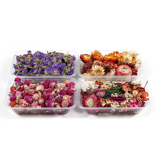 Materiales Florales Secos en Caja 37g Paquete x3 miniatura 2