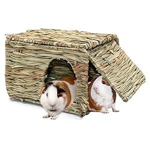 BWOGUE Large Grass House for Guinea Pigs,Hand Woven Straw Hut Foldable Small Animal Play Hideaway Bed with Double Openings Playhouse for Bunny Guinea Pig Chinchilla Ferret