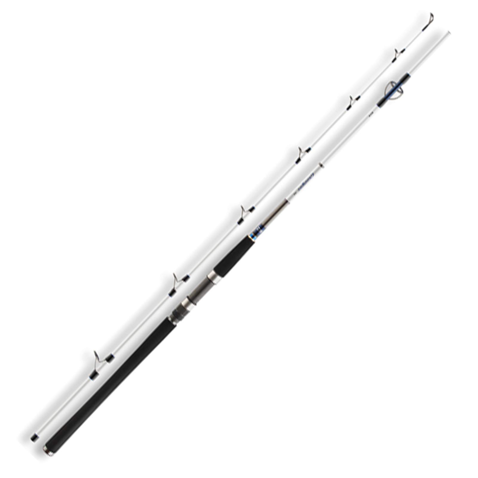 Daiwa Grandwave Pilk 2.70m 100-200g Angelrute Fischrute