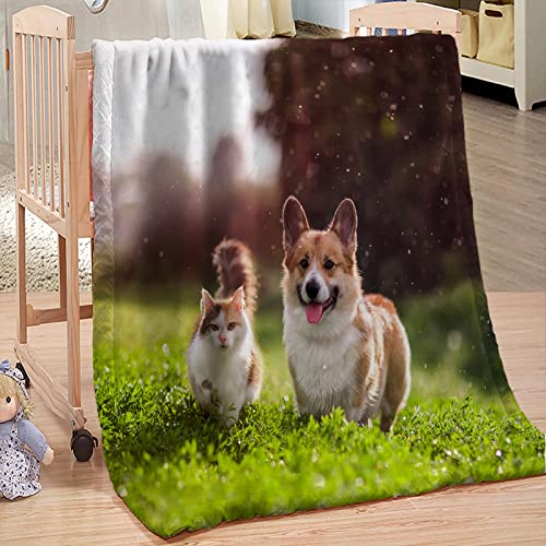 Coperta di Flanella Corgi 3D, Stampata Coperta