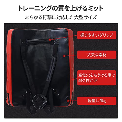 Sea the Stars ダミーミット ビッグミット