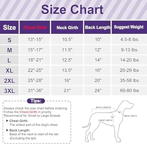 cyeollo 2 Pack Fleece Dog Sweater Stretchy Pullover Soft Dog Jacket with Reflective Stripe Lightweight Sweatshirt Pet Clothes Coats for Small Dogs Grey & Blue cyeollo 2 Pack Fleece Dog Sweater Stretchy Pullover Soft Dog Jacket with Reflective Stripe Lightweight Sweatshirt Pet Clothes Coats for Small Dogs Grey Blue