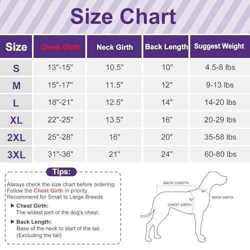 cyeollo-2-Pack-Fleece-Dog-Sweater-Stretchy-Pullover-Soft-Dog-Jacket-with-Reflective-Stripe-Lightweight-Sweatshirt-Pet-Clothes-Coats-for-Small-Dogs-Grey-Blue cyeollo 2 Pack Fleece Dog Sweater Stretchy Pullover Soft Dog Jacket with Reflective Stripe Lightweight Sweatshirt Pet Clothes Coats for Small Dogs Grey Blue