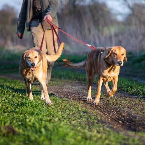 Wisedog 3m Rot doppelendige gummierte Hundeleine Leichtgewichtige Hands Free Leine für Hund rutschfeste Hands Free Hundeleine Fit für Spaziergänge Laufen Camping