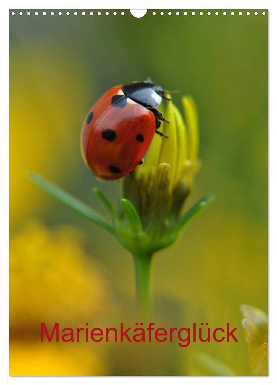 Marienkäferglück (Wandkalender 2024 DIN A3 hoch), CALVENDO Monatskalender: Planung ist alles... manchmal aber auch Glückssache!