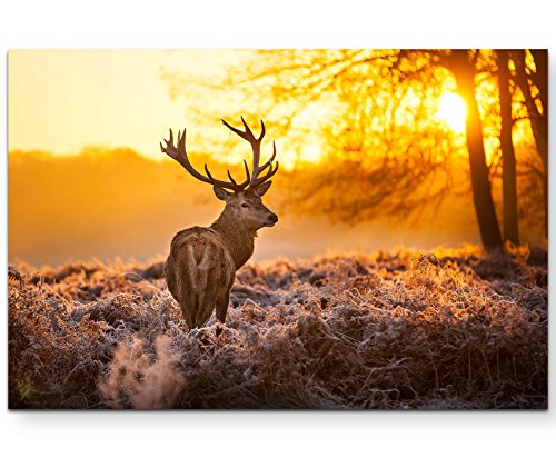 Paul Sinus Art Leinwandbilder | Bilder Leinwand 120x80cm Hirsch im...