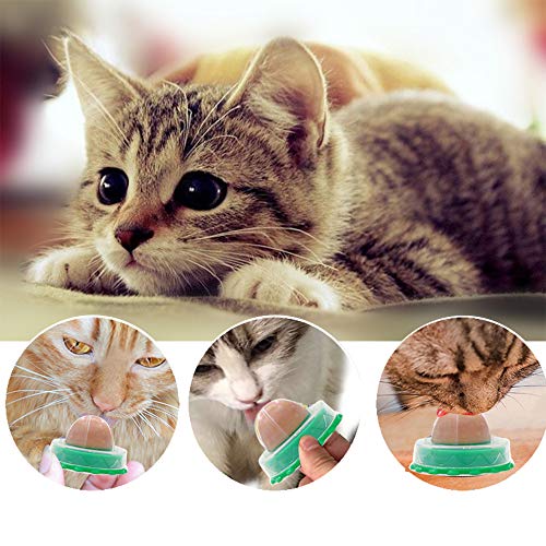HNQH Petiscos para gatos, doces e gatos, bola de energia de gel saudável para gatos lambendo doces e